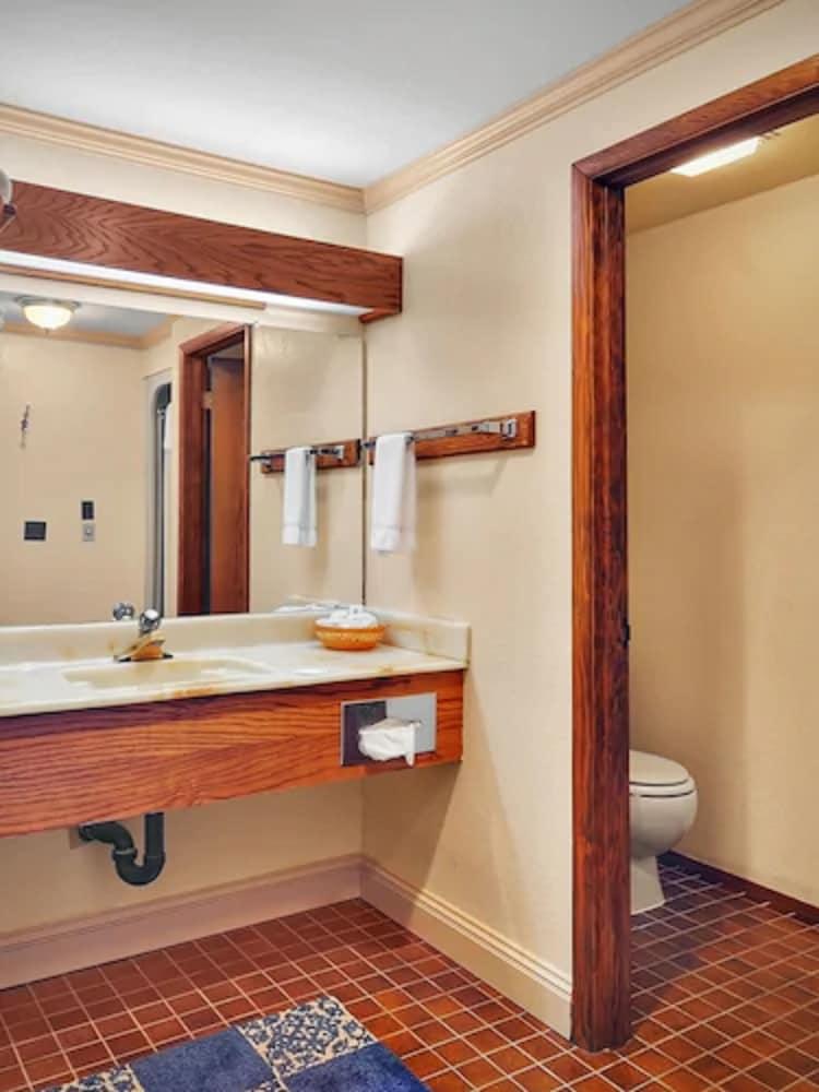 Coachman Inn & Suites photo 47