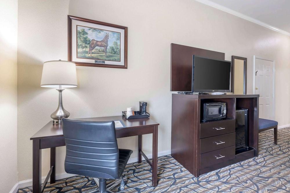 Best Western Spring Hill Inn & Suites photo 11