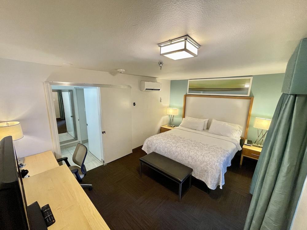 Red Roof Inn PLUS+ & Suites Tampa photo 11
