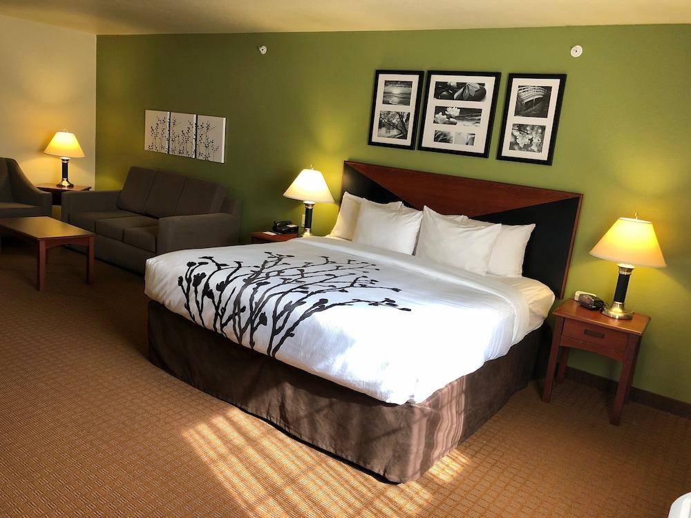 Sleep Inn & Suites Shamrock photo 8
