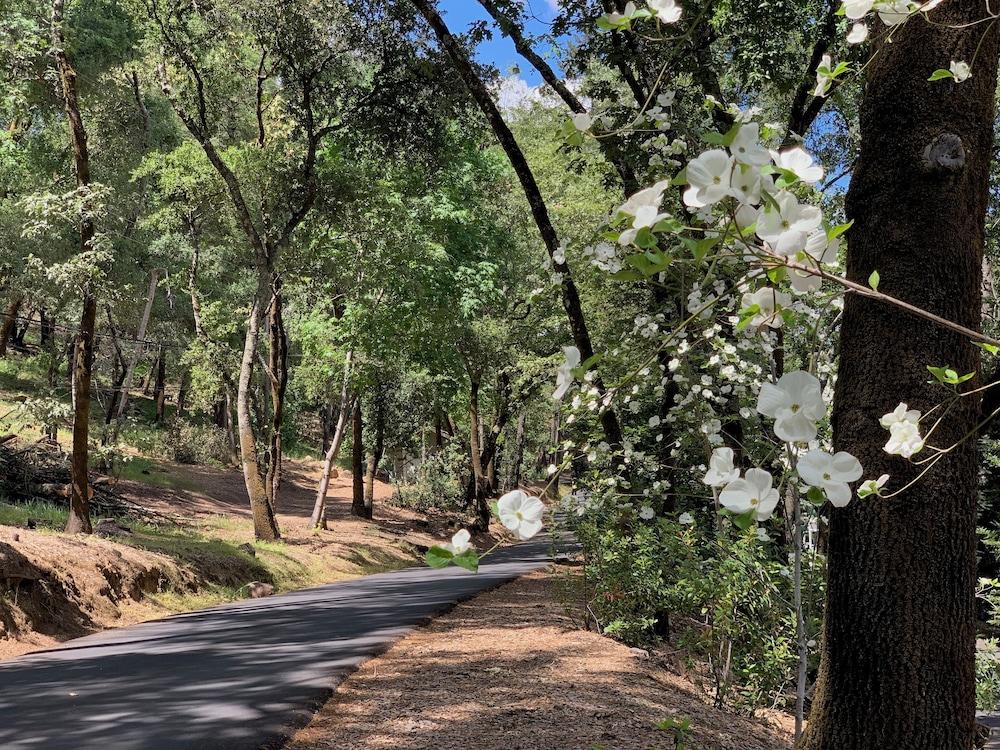 Meadowood Napa Valley photo 8