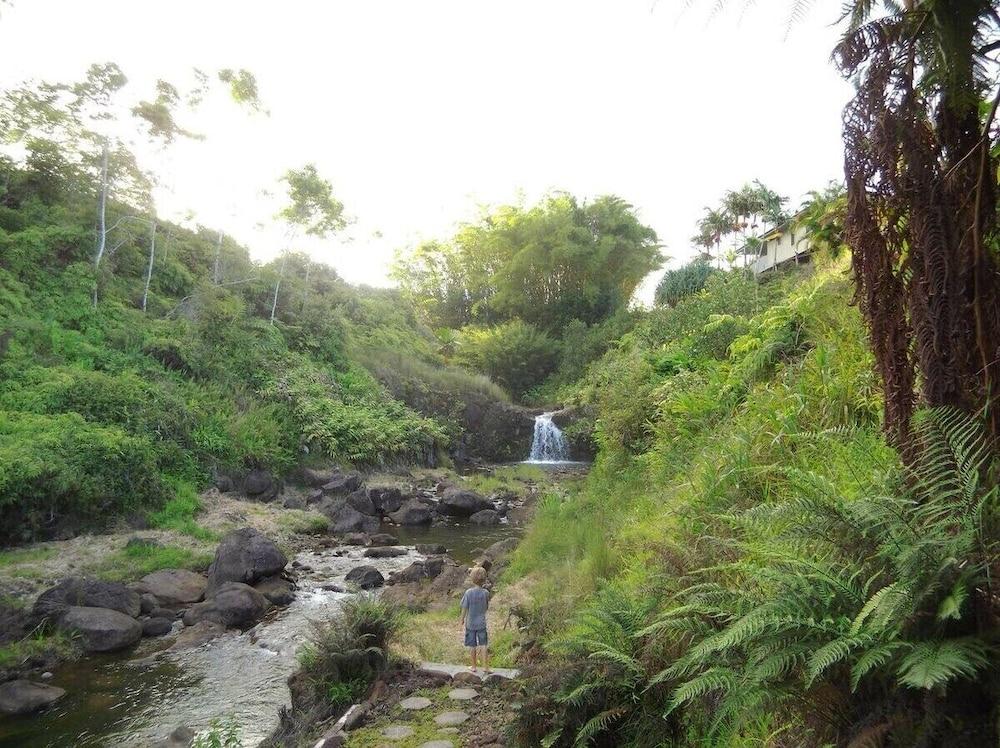 Kikala Waterfall Lodge photo 25
