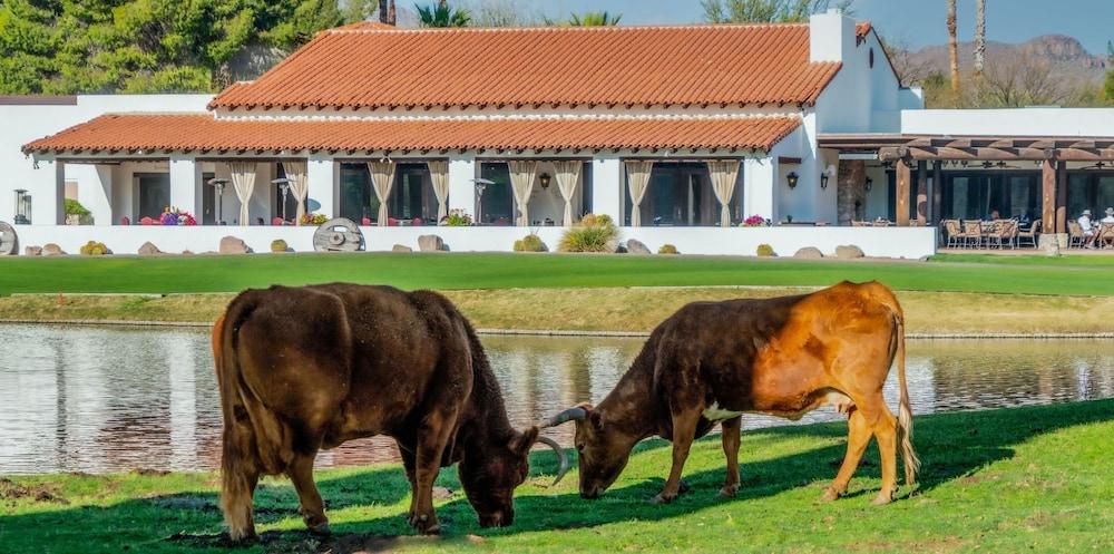 Tubac Golf Resort & Spa photo 34