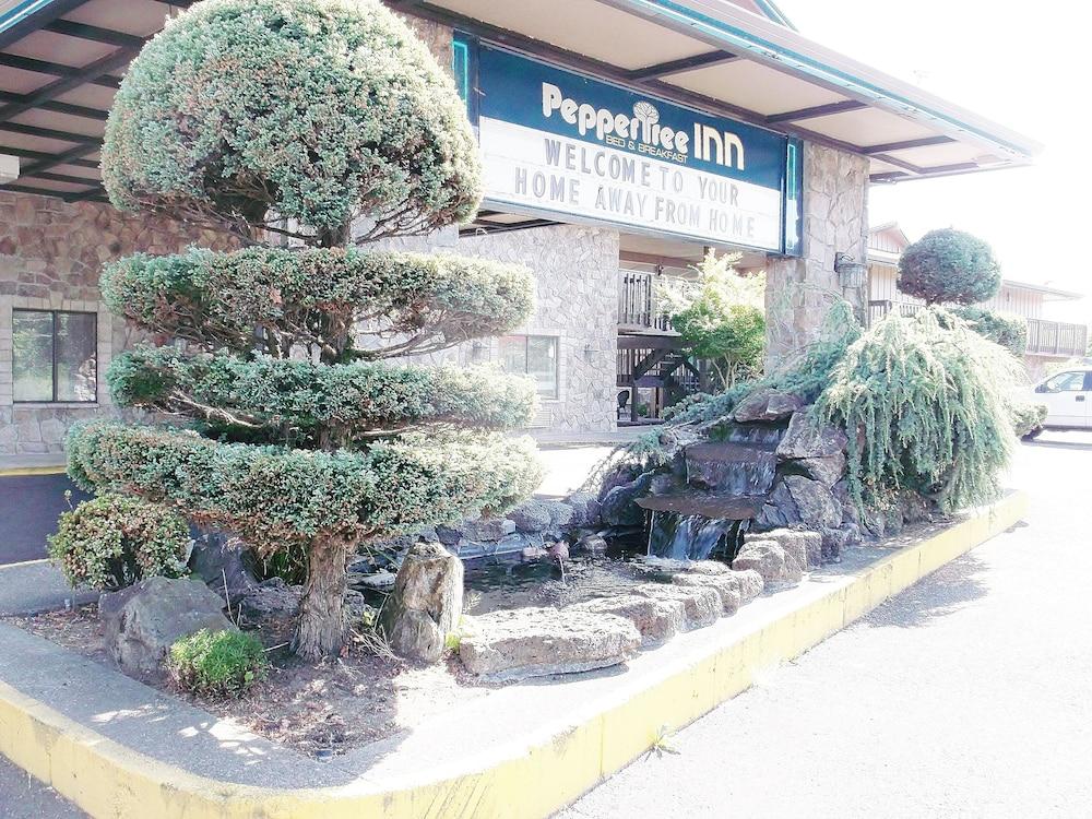 PepperTree Inn photo 4
