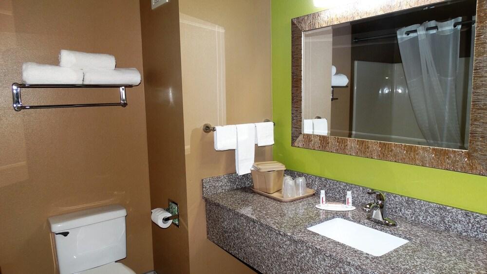 Oak Tree Inn & Suites photo 25