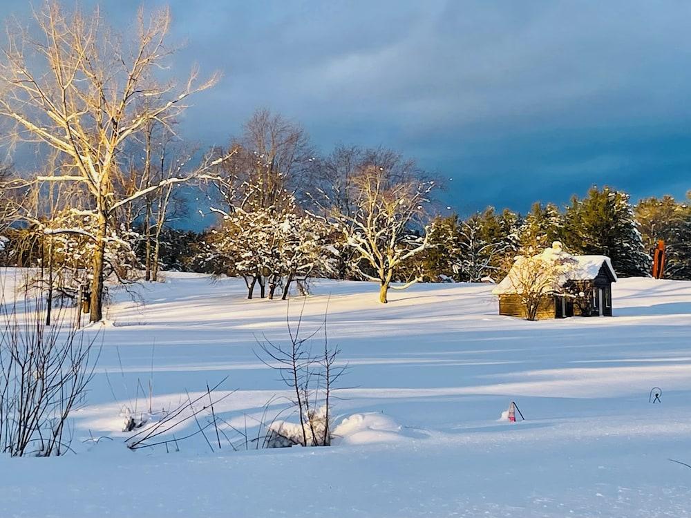 Gedney Farm photo 43