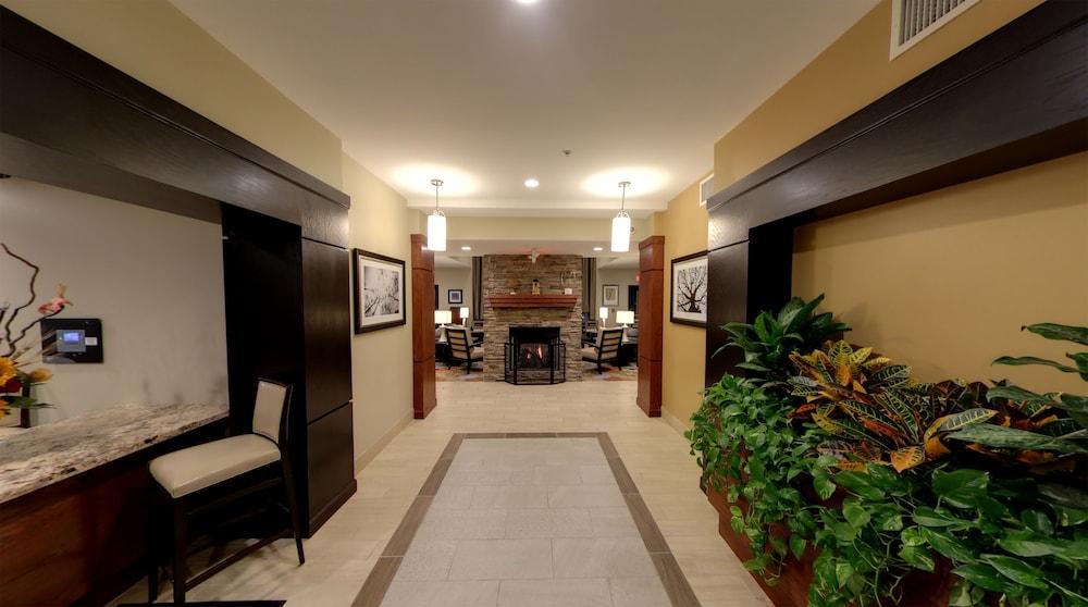Staybridge Suites Ann Arbor- Univ of Michigan by IHG photo 39