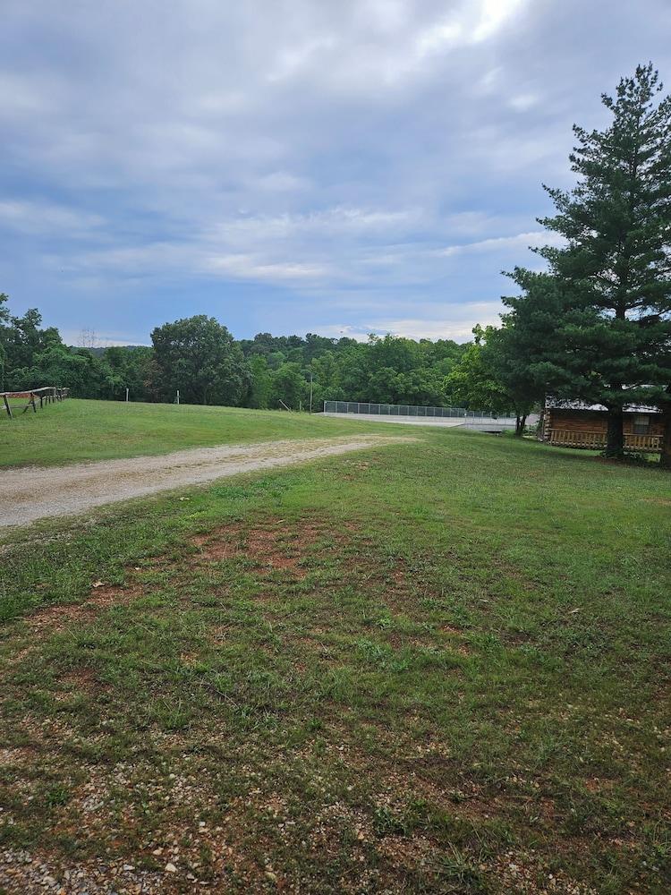 Riverview Cabins photo 10