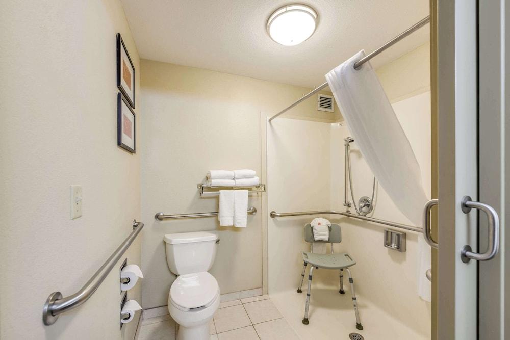 Comfort Suites Chicago O'Hare Airport photo 15