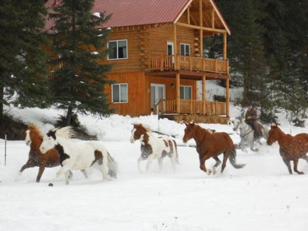 Bar W Guest Ranch photo 7