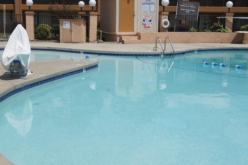 Royal Inn photo 56