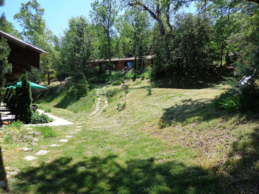 Evergreen Haus photo 67