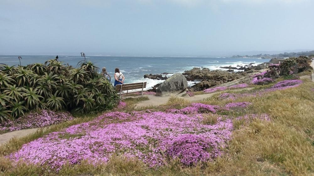 Pacific Grove Inn photo 51