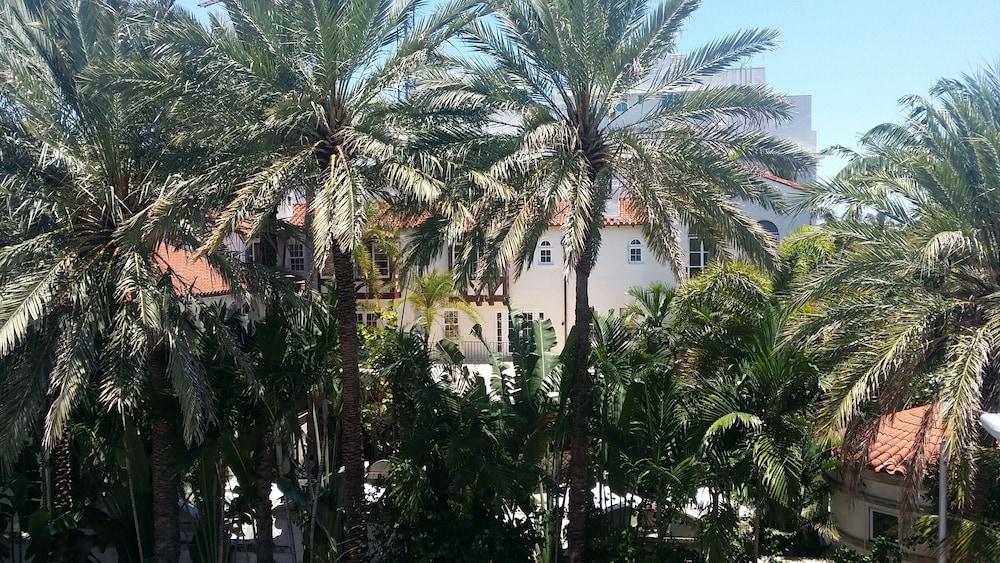 Strand Ocean Drive Suites photo 78