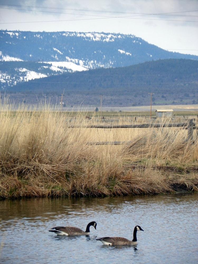 Hunters Hot Springs Resort photo 12