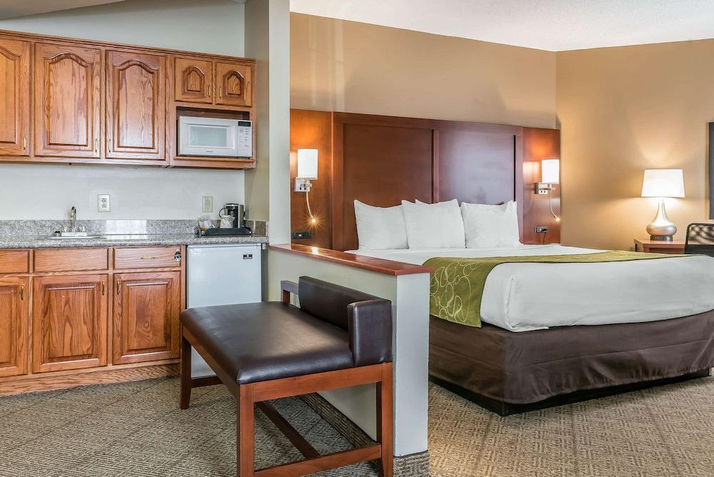 Comfort Suites Springfield I-70 photo 73