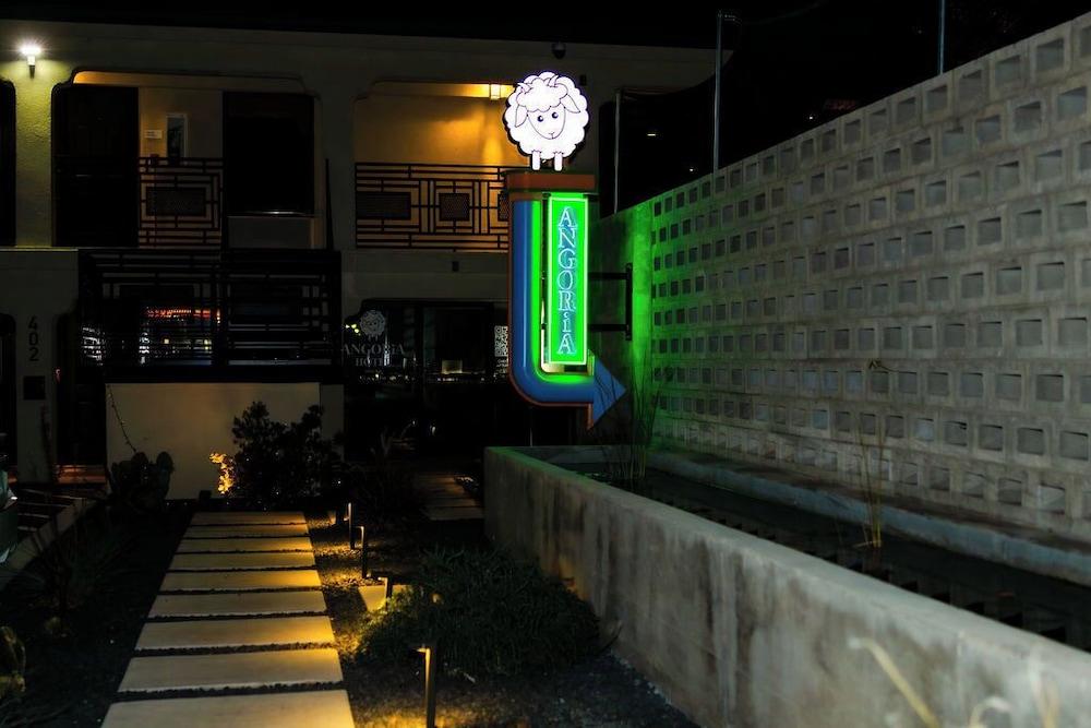 Angoria Hotel photo 61