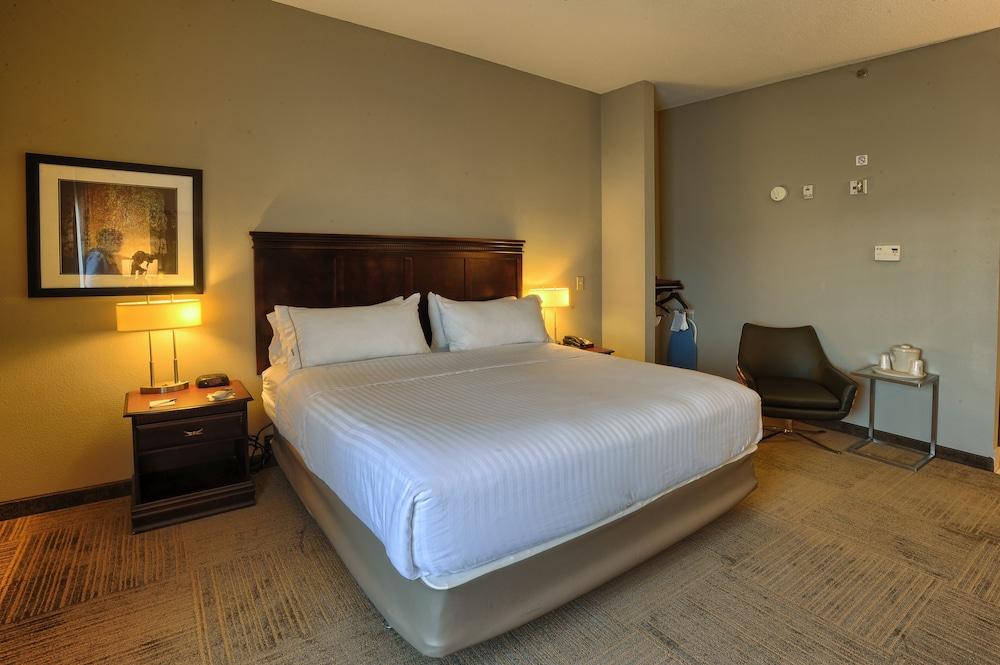Holiday Inn Express Hotel & Suites Pell City by IHG photo 4