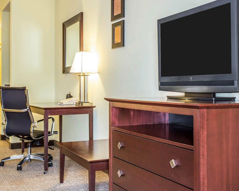 Comfort Suites Rock Hill Manchester Meadows Area photo 13