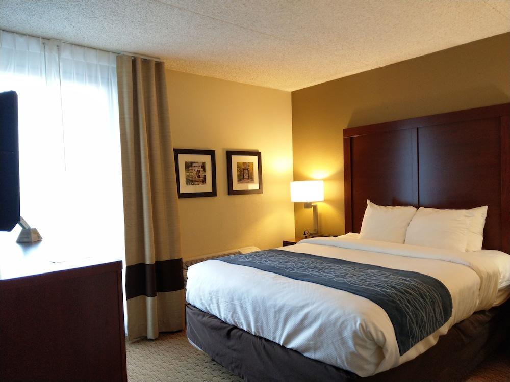 Comfort Inn & Suites Rochelle - DeKalb photo 64