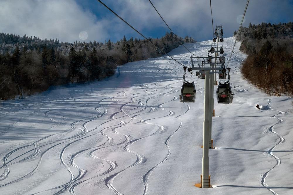Vantage Point Villas at Stratton Mountain Resort photo 19