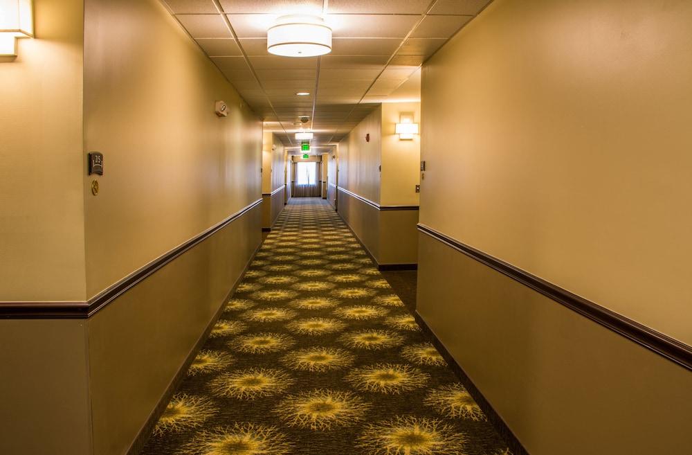 Staybridge Suites Schererville by IHG photo 7
