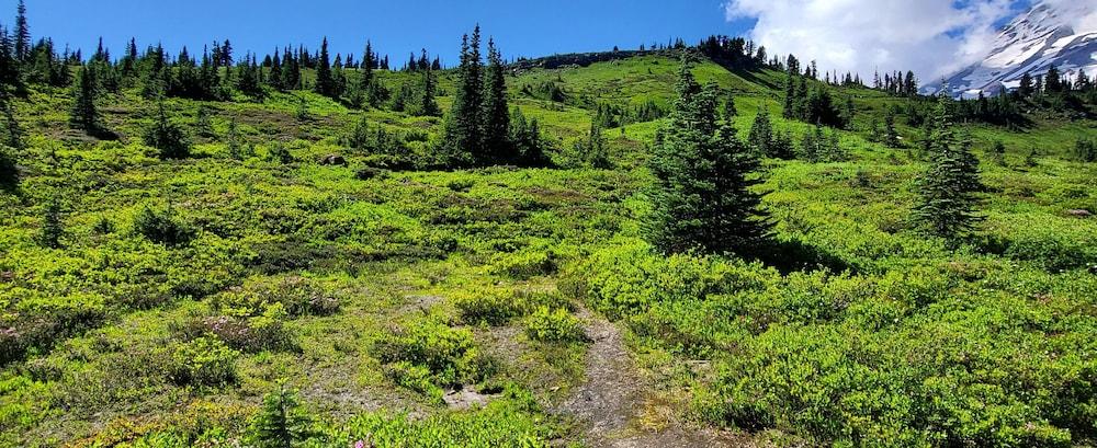 Nisqually Lodge photo 56