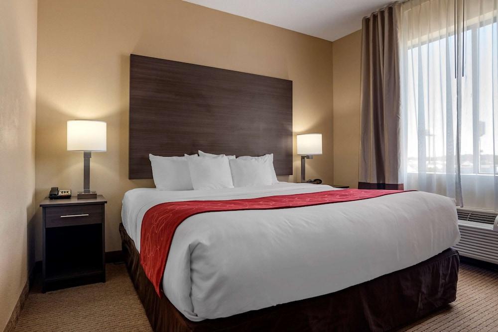 Comfort Suites Mobile photo 8