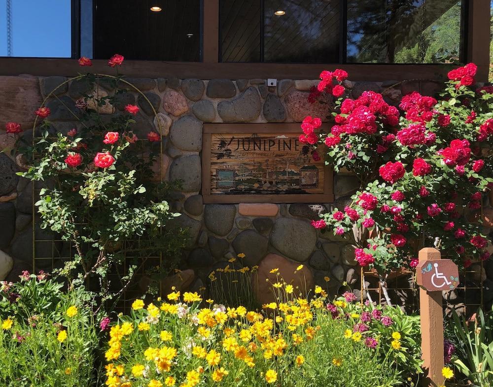 Junipine Resort photo 23