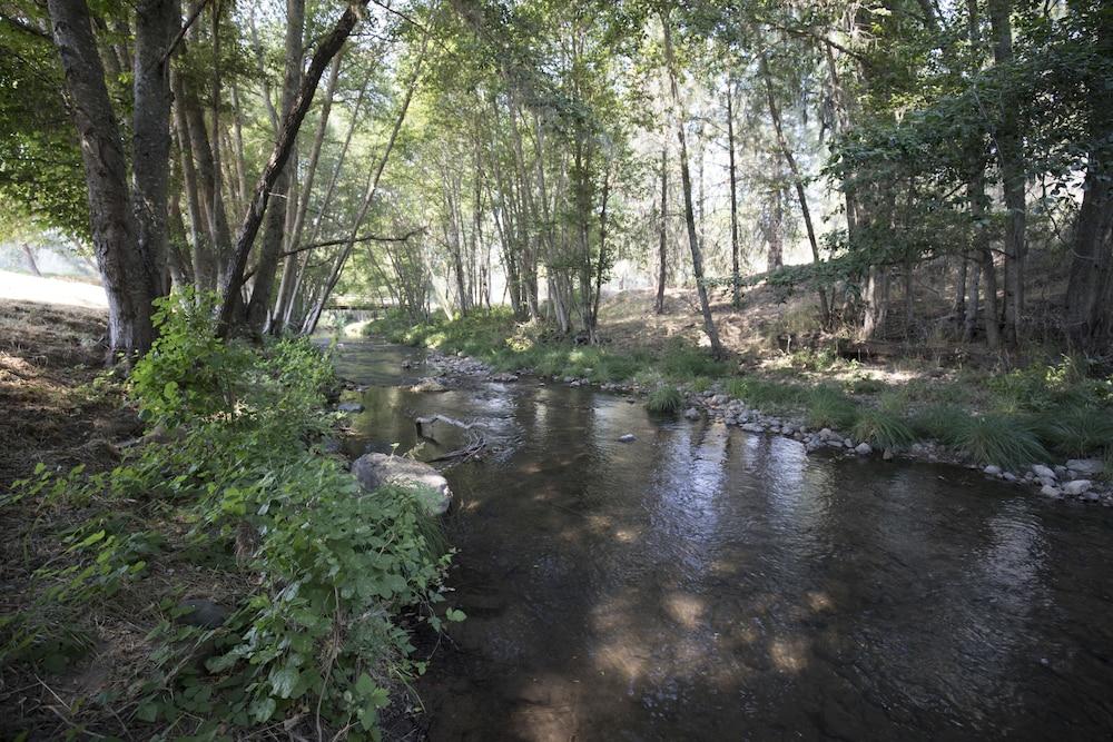 Mandala Springs Wellness Retreat Center photo 37