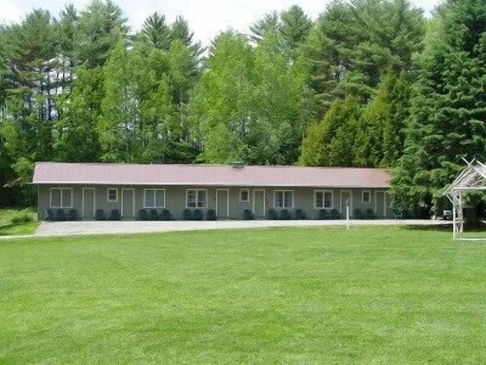 Pine Tree Motel & Cabins photo 38