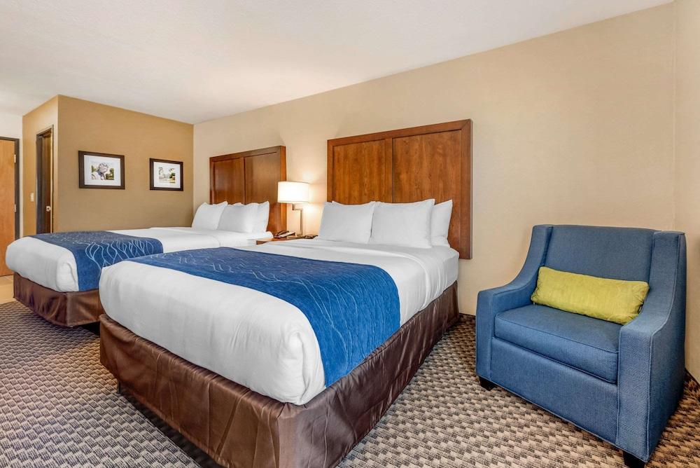 Comfort Inn & Suites near Route 66 photo 18