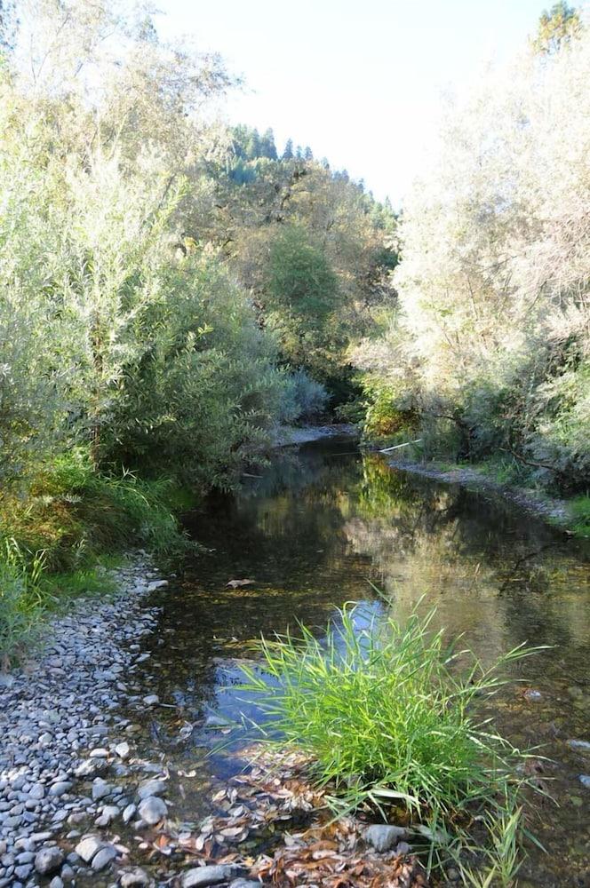 Morrison's Rogue River Lodge photo 3