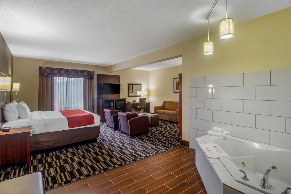 Comfort Suites Danville photo 11