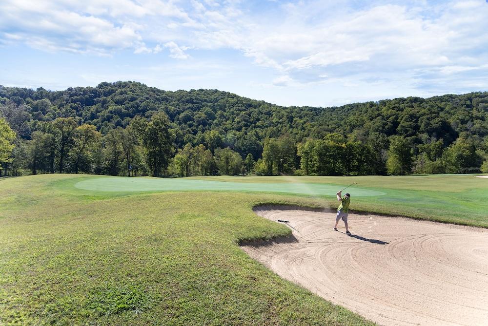 Pine Mountain State Resort Park photo 37