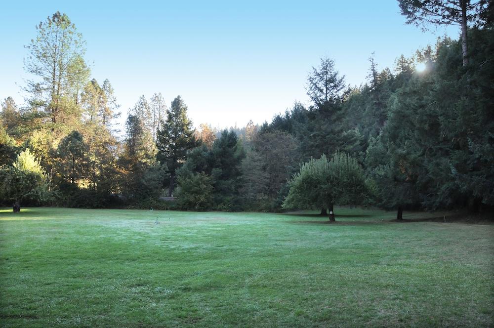 Morrison's Rogue River Lodge photo 9
