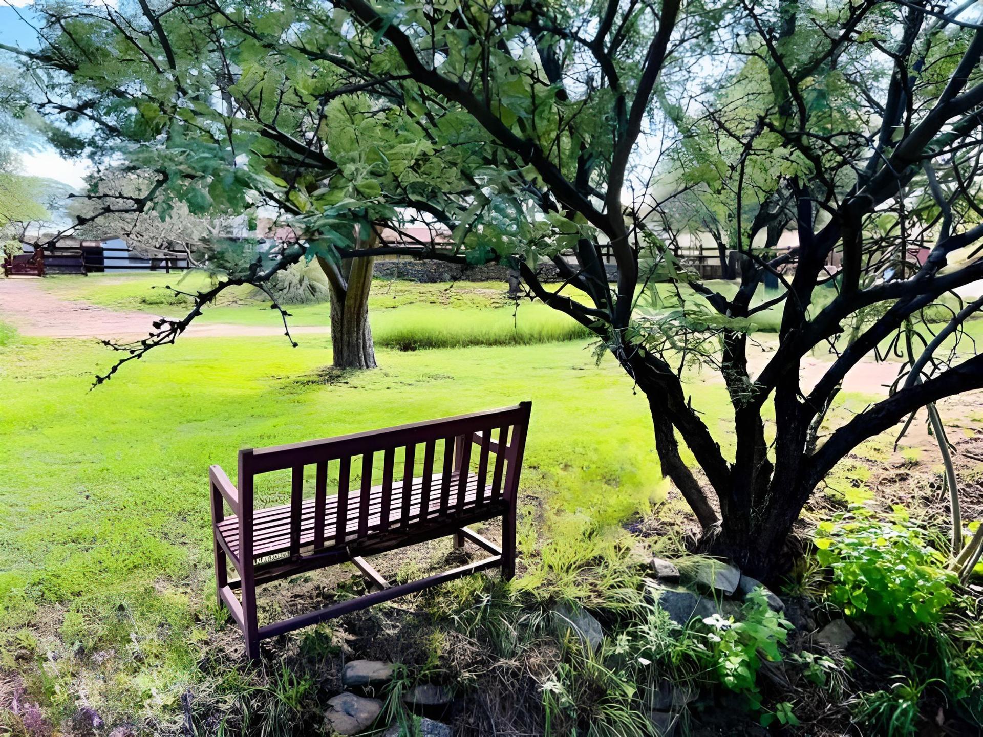 El Rancho Robles photo 85