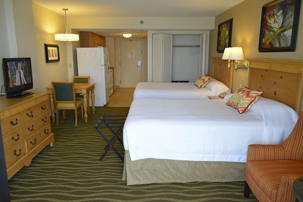 Nautilus Inn photo 63