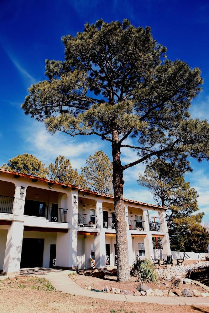 El Verde Inn photo 1