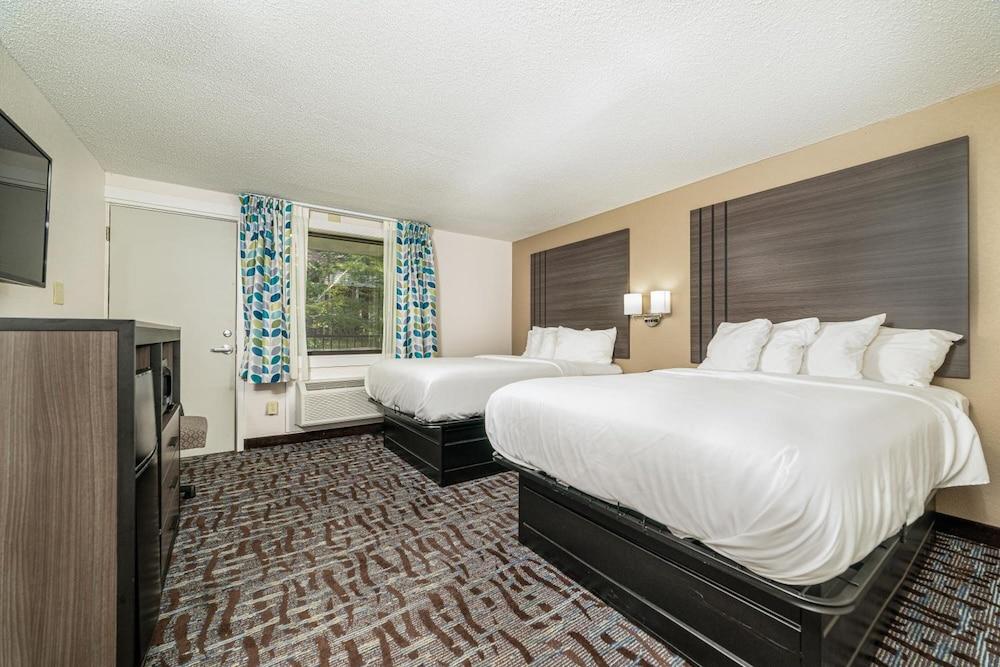Bear Creek Inn photo 46