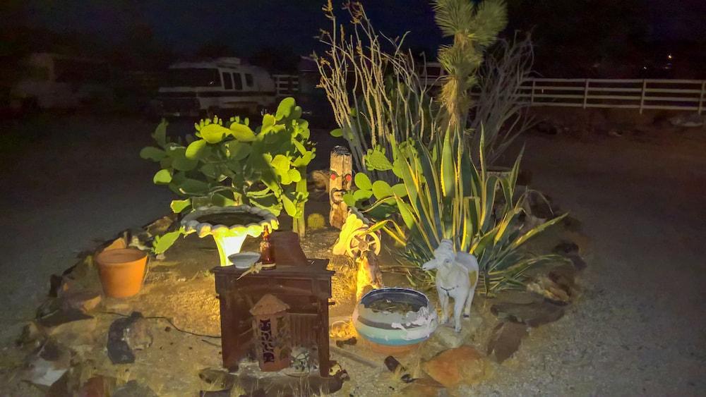 Joshua Tree Ranch House photo 28