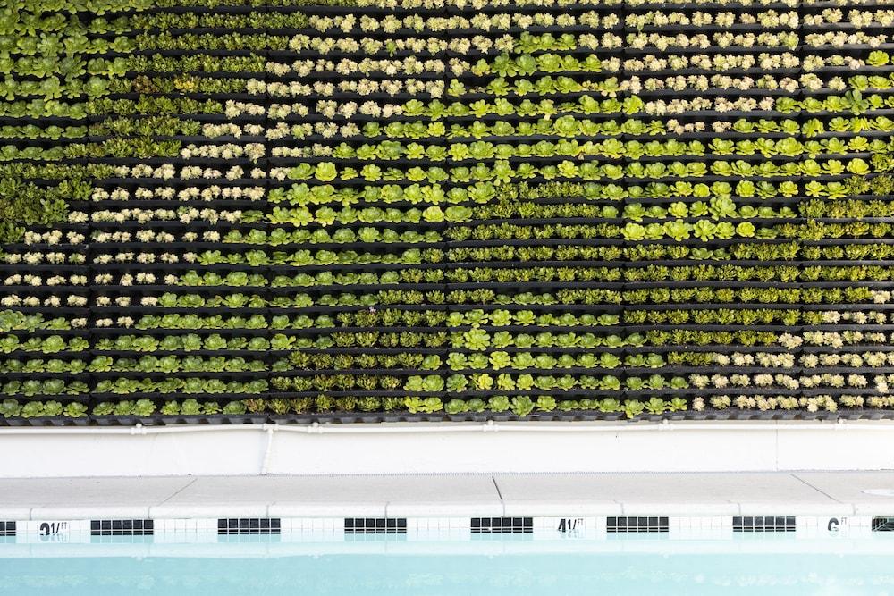 Short Stories Hotel photo 31