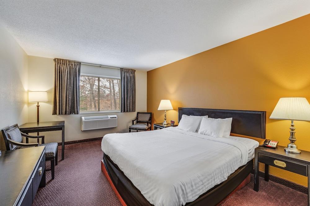 Econo Lodge Whitehall near Michigan's Adventure photo 5