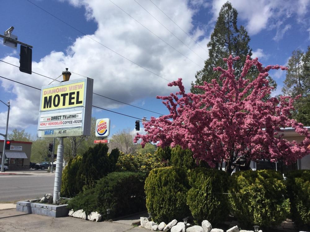 Diamond View Motel photo 17