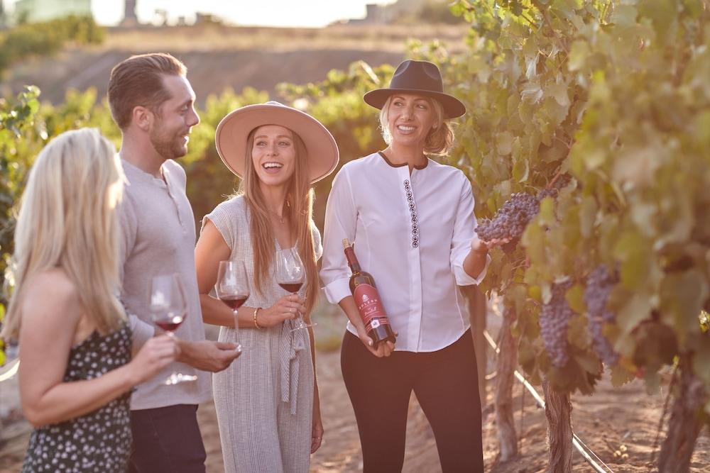 Europa Village Wineries and Resort photo 18