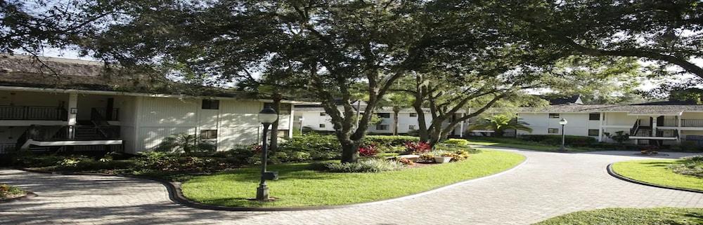Saddlebrook Resort photo 86