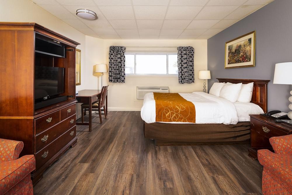 Bedford Motel photo 16