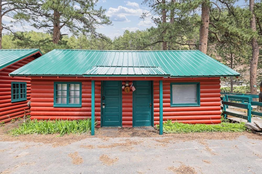 Ponderosa Pines photo 60