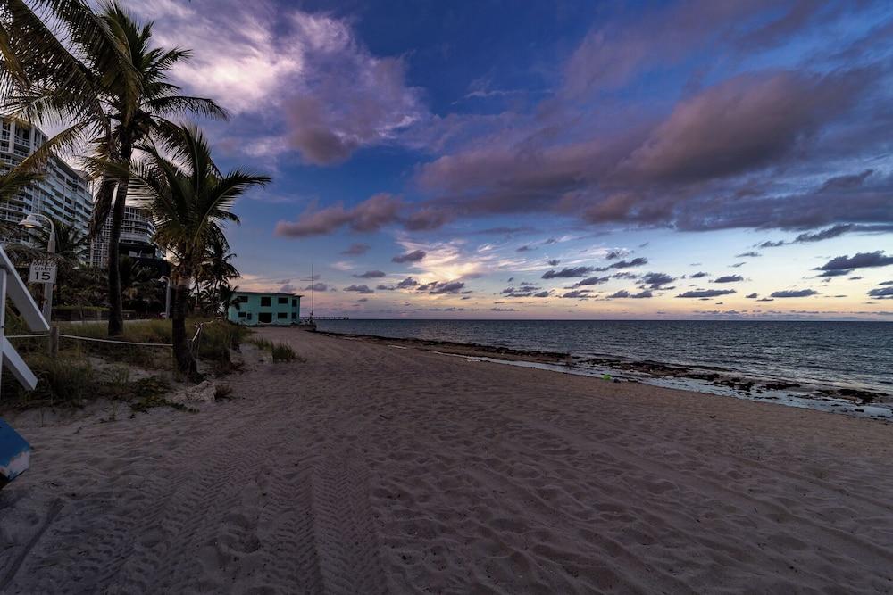 Palm By The Sea photo 17