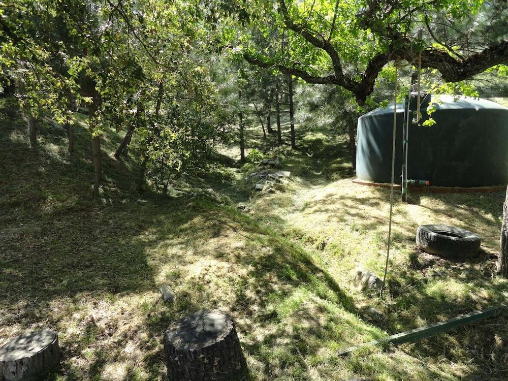 Evergreen Haus photo 70